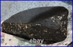 Dinosaur Fossil Black Starry Night Jurassic Healing Psychic Telepathic 61gr