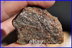 Dinosaur Fossil Bone Golden Trails Jurassic Agatized Jewelry Stone 26gr-1oz