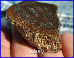 Dinosaur Fossil Bone Golden Trails Jurassic Agatized Jewelry Stone 26gr-1oz