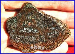 Dinosaur Fossil Bone Golden Trails Jurassic Agatized Jewelry Stone 26gr-1oz