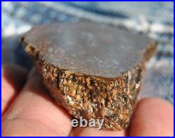 Dinosaur Fossil Bone Golden Trails Jurassic Agatized Jewelry Stone 26gr-1oz