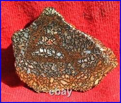 Dinosaur Fossil Bone Golden Trails Jurassic Agatized Jewelry Stone 26gr-1oz