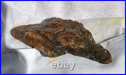 Dinosaur Fossil Bone Scarlet Party Jurassic Agatized Jewelry Stone 69gr-2.4oz