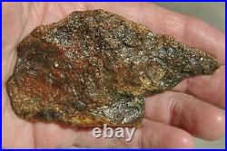 Dinosaur Fossil Bone Scarlet Party Jurassic Agatized Jewelry Stone 69gr-2.4oz