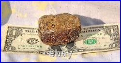 Dinosaur Fossil Chocolate Cream Cake Petrified Jurassic Jewelry Stone 133gr