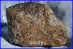 Dinosaur Fossil Chocolate Cream Cake Petrified Jurassic Jewelry Stone 133gr