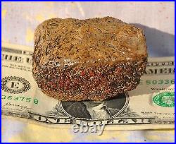 Dinosaur Fossil Chocolate Cream Cake Petrified Jurassic Jewelry Stone 133gr