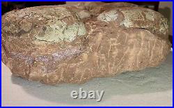 Dinosaur Fossil Egg Nest! Six 3.5 WIDE Eggs! Carnivorous Species! HEAVY Nest