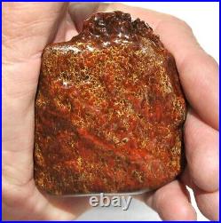 Dinosaur Fossil Golden Scarlet Lust Gem Bone Agatized Petrified 151gr-5.3oz