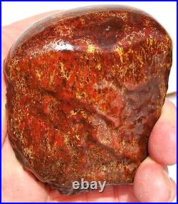 Dinosaur Fossil Golden Scarlet Lust Gem Bone Agatized Petrified 151gr-5.3oz