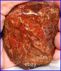 Dinosaur Fossil Golden Scarlet Lust Gem Bone Agatized Petrified 151gr-5.3oz