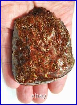 Dinosaur Fossil Golden Scarlet Lust Gem Bone Agatized Petrified 151gr-5.3oz