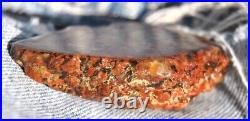 Dinosaur Fossil Halloween Suprise Jurassic Petrified Jewelry Stone 21gr-1oz