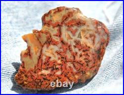 Dinosaur Fossil Halloween Suprise Jurassic Petrified Jewelry Stone 21gr-1oz