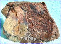 Dinosaur Fossil MAGA Red Jurassic Petrified Jewelry Agatized Stone 205gr-7.3oz