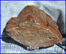 Dinosaur Fossil MAGA Red Jurassic Petrified Jewelry Agatized Stone 205gr-7.3oz