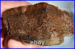 Dinosaur Fossil MAGA Red Jurassic Petrified Jewelry Agatized Stone 205gr-7.3oz