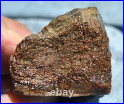 Dinosaur Fossil MAGA Red Jurassic Petrified Jewelry Agatized Stone 205gr-7.3oz