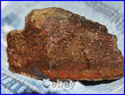 Dinosaur Fossil MAGA Red Jurassic Petrified Jewelry Agatized Stone 205gr-7.3oz