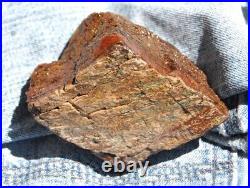 Dinosaur Fossil MAGA Red Jurassic Petrified Jewelry Agatized Stone 205gr-7.3oz