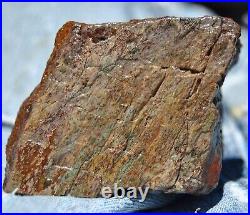 Dinosaur Fossil MAGA Red Jurassic Petrified Jewelry Agatized Stone 205gr-7.3oz