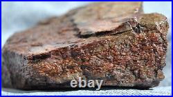 Dinosaur Fossil MAGA Red Jurassic Petrified Jewelry Agatized Stone 205gr-7.3oz