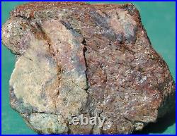 Dinosaur Fossil MAGA Red Jurassic Petrified Jewelry Agatized Stone 205gr-7.3oz