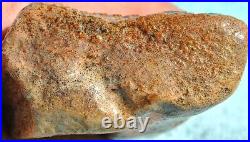 Dinosaur Fossil Red Boner Gembone Agatized Petrified Jurassic 420gr-14.8oz