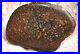 Dinosaur Gem Bone Birthday Present-Fossil Jurassic Petrified Jewelry Stone 26gr