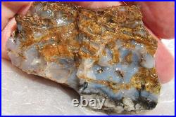 Dinosaur Gem Bone Blue Holiday Party Agatized Petrified Jurassic 48gr-1.7oz