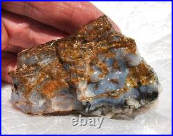 Dinosaur Gem Bone Blue Holiday Party Agatized Petrified Jurassic 48gr-1.7oz