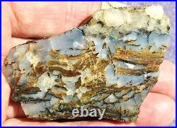 Dinosaur Gem Bone Blue Holiday Party Agatized Petrified Jurassic 48gr-1.7oz