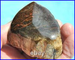 Dinosaur Gem Bone Fossil Black & Ruby Mountain Petrified Jurassic 159gr-5.6oz