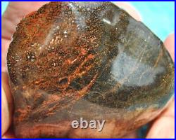 Dinosaur Gem Bone Fossil Black & Ruby Mountain Petrified Jurassic 159gr-5.6oz