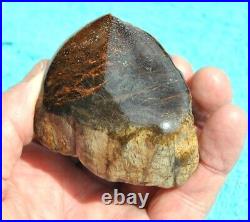 Dinosaur Gem Bone Fossil Black & Ruby Mountain Petrified Jurassic 159gr-5.6oz