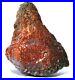 Dinosaur Golden Crimson Spire Gem Bone Jurassic Meditation Healing Lucky 72gr