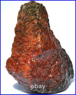 Dinosaur Golden Crimson Spire Gem Bone Jurassic Meditation Healing Lucky 72gr