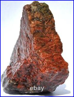 Dinosaur Golden Crimson Spire Gem Bone Jurassic Meditation Healing Lucky 72gr