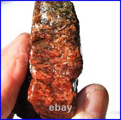 Dinosaur Golden Crimson Spire Gem Bone Jurassic Meditation Healing Lucky 72gr