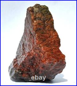 Dinosaur Golden Crimson Spire Gem Bone Jurassic Meditation Healing Lucky 72gr