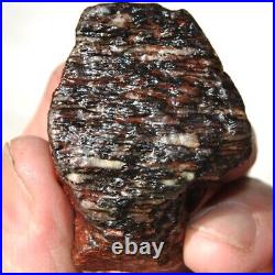 Dinosaur Golden Crimson Spire Gem Bone Jurassic Meditation Healing Lucky 72gr