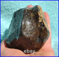 Dinosaur Golden Vertebrae Fossil Bone Jurassic Jewelry Museum 418gr 14.7oz