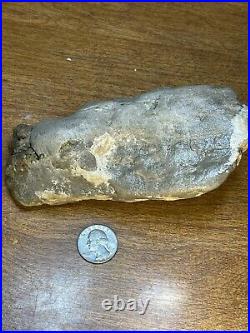 Dinosaur Jaw Bone With 14 Teeth Authentic