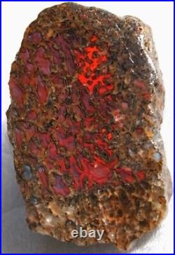 Dinosaur Rainbow Ruby Dragon Bone Fossil Healing Lucky Meditation Stone 23gr