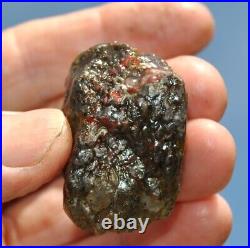 Dinosaur Rainbow Ruby Dragon Bone Fossil Healing Lucky Meditation Stone 23gr