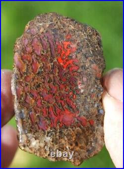 Dinosaur Rainbow Ruby Dragon Bone Fossil Healing Lucky Meditation Stone 23gr