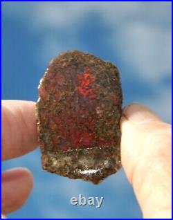 Dinosaur Rainbow Ruby Dragon Bone Fossil Healing Lucky Meditation Stone 23gr