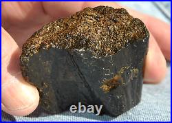 Dinosaur Rib Bone Fossil Black Bat Wing Jurassic Petrified Stone 64gr-2.26oz