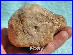 Dinosaur Skull & Bones Ball Joint Fossil Gembone Petrified Jewlry 336g-11.9oz