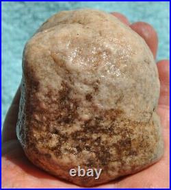 Dinosaur Skull & Bones Ball Joint Fossil Gembone Petrified Jewlry 336g-11.9oz